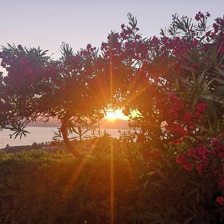 La Casa Sul Tramonto - Capoliveri - Services Included Zewnętrze zdjęcie